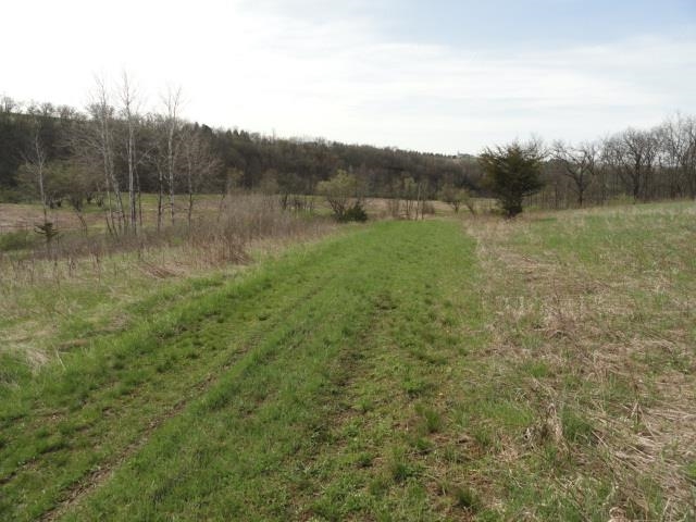 15 Acres /- Cty Rd Mount Blue Mounds, WI 53517 - Photo 28 of 44