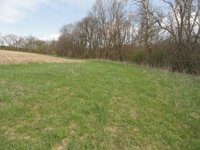 15 Acres /- Cty Rd Mount Blue Mounds, WI 53517 - Photo 29 of 44