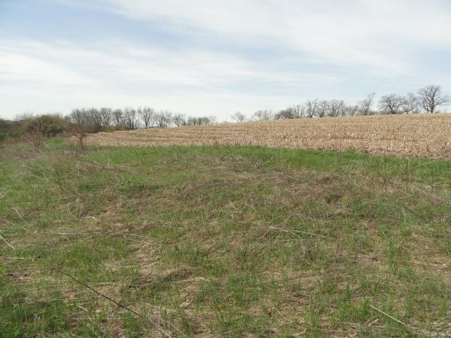 15 Acres /- Cty Rd Mount Blue Mounds, WI 53517 - Photo 30 of 44