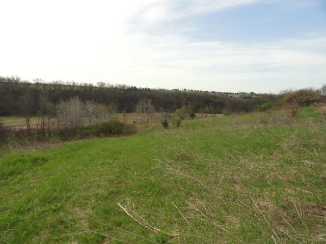 15 Acres /- Cty Rd Mount Blue Mounds, WI 53517 - Photo 31 of 44