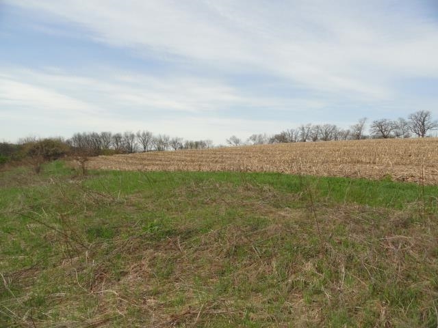 15 Acres /- Cty Rd Mount Blue Mounds, WI 53517 - Photo 32 of 44