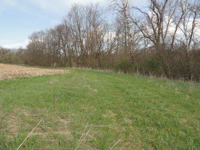 15 Acres /- Cty Rd Mount Blue Mounds, WI 53517 - Photo 33 of 44