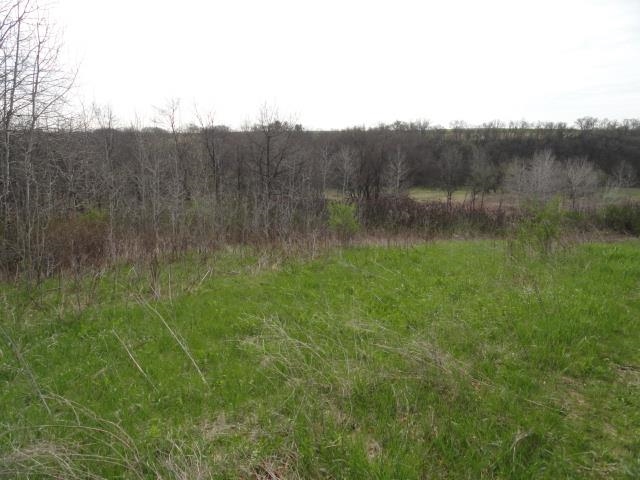 15 Acres /- Cty Rd Mount Blue Mounds, WI 53517 - Photo 34 of 44