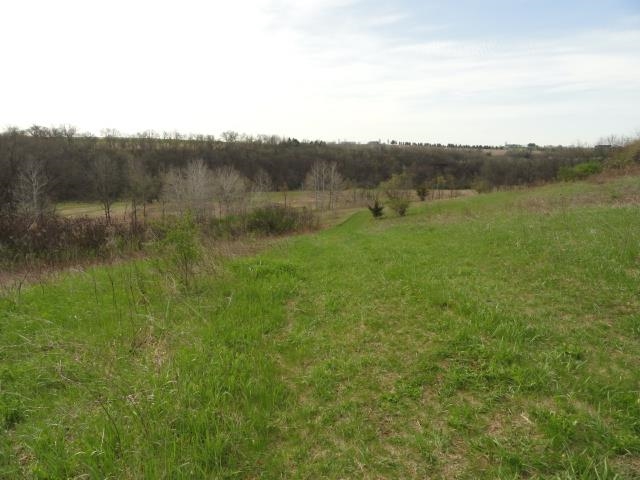 15 Acres /- Cty Rd Mount Blue Mounds, WI 53517 - Photo 35 of 44