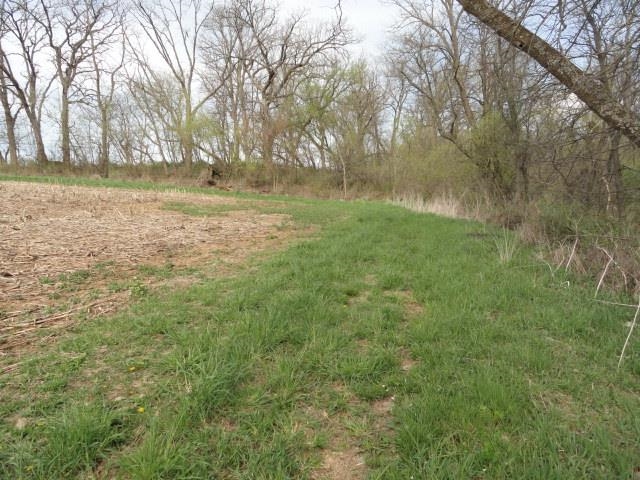 15 Acres /- Cty Rd Mount Blue Mounds, WI 53517 - Photo 36 of 44