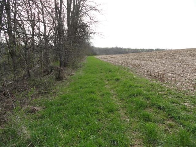 15 Acres /- Cty Rd Mount Blue Mounds, WI 53517 - Photo 37 of 44
