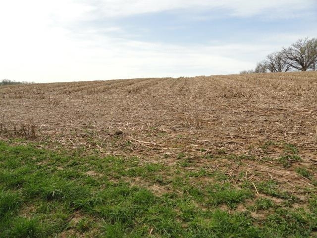 15 Acres /- Cty Rd Mount Blue Mounds, WI 53517 - Photo 38 of 44