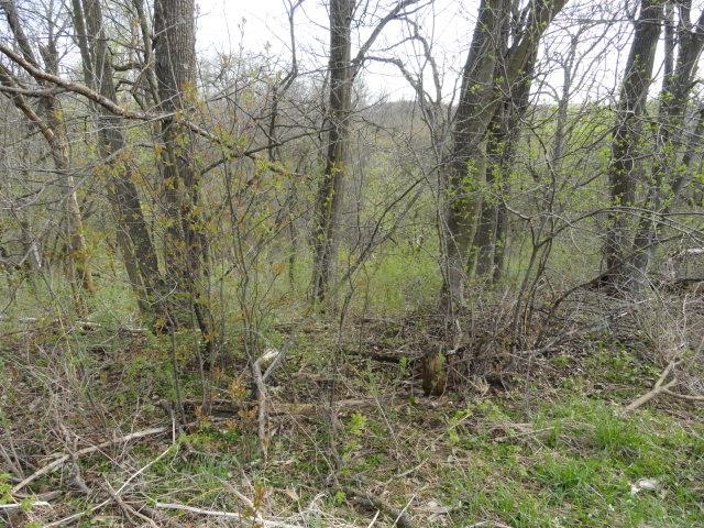 15 Acres /- Cty Rd Mount Blue Mounds, WI 53517 - Photo 39 of 44