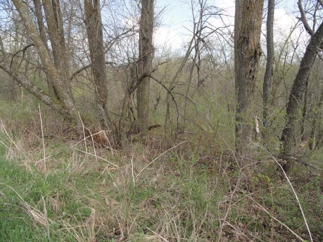 15 Acres /- Cty Rd Mount Blue Mounds, WI 53517 - Photo 40 of 44