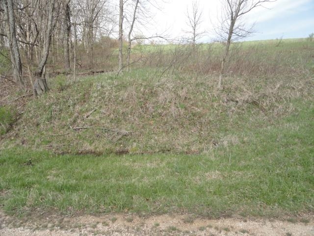 15 Acres /- Cty Rd Mount Blue Mounds, WI 53517 - Photo 41 of 44