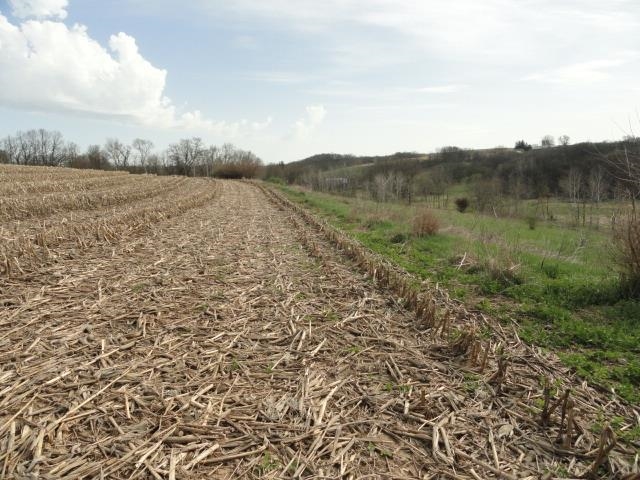 15 Acres /- Cty Rd Mount Blue Mounds, WI 53517 - Photo 42 of 44