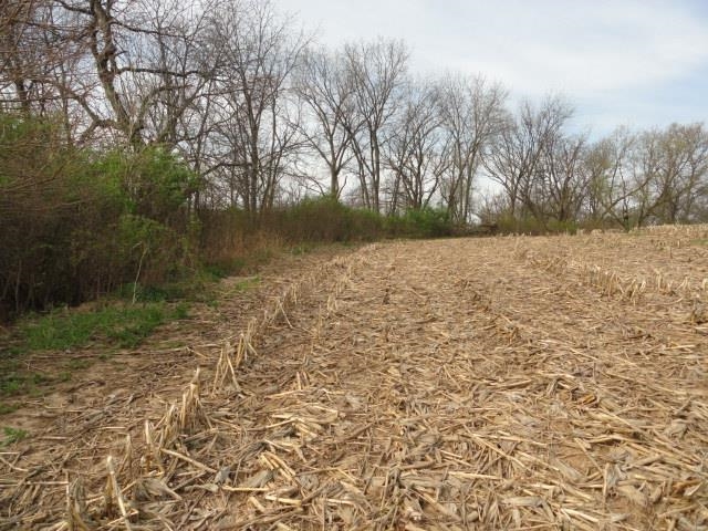 15 Acres /- Cty Rd Mount Blue Mounds, WI 53517 - Photo 43 of 44