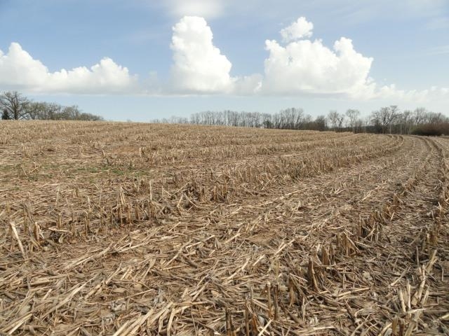 15 Acres /- Cty Rd Mount Blue Mounds, WI 53517 - Photo 44 of 44