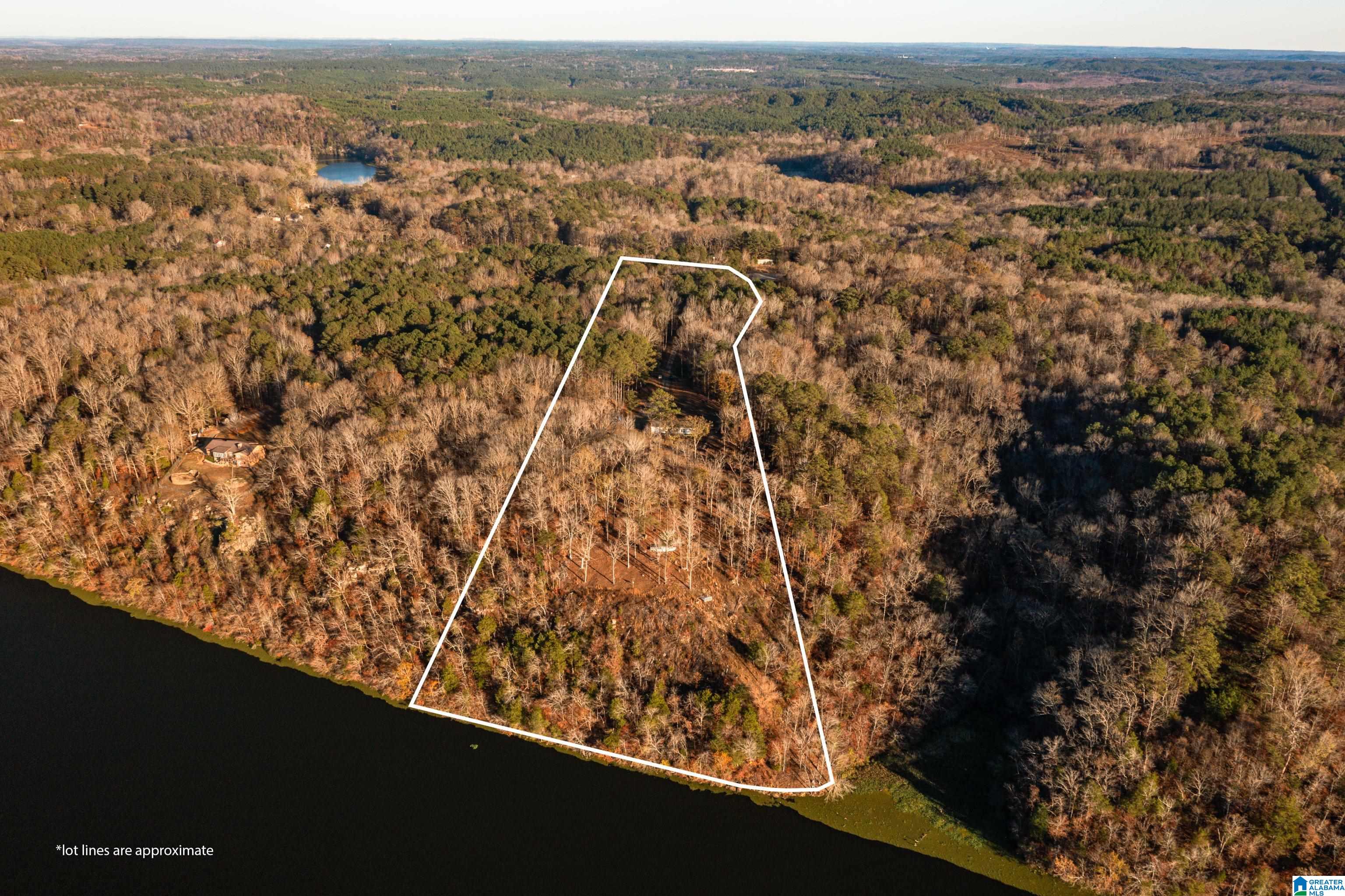 191 Warrior River Highlands Road Adger, AL 35006 - Photo 3 of 81