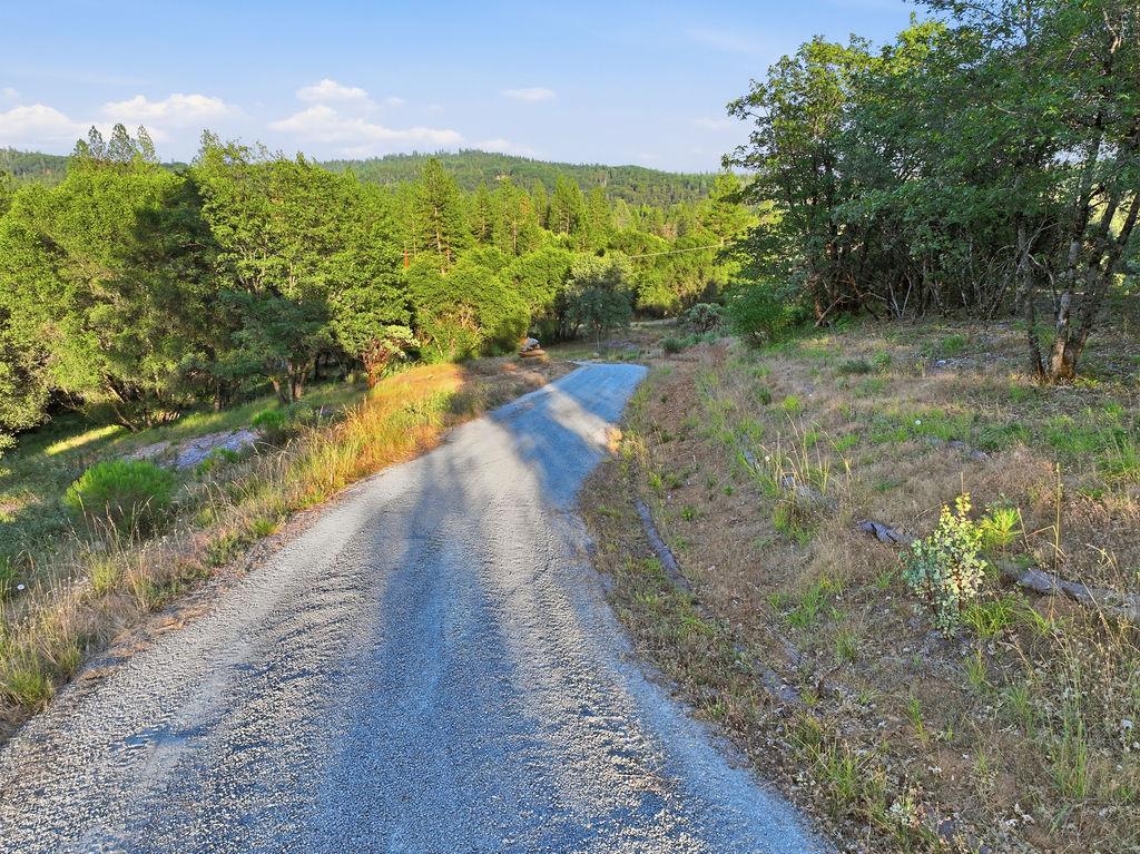 12998 Tyler Foote Road Nevada City, CA 95959 - Photo 16 of 33 a view of a pathway with a yard