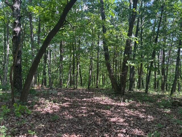 590 Black Mountain Road Dunlap, TN 37327 - Photo 20 of 20 IMG_6667