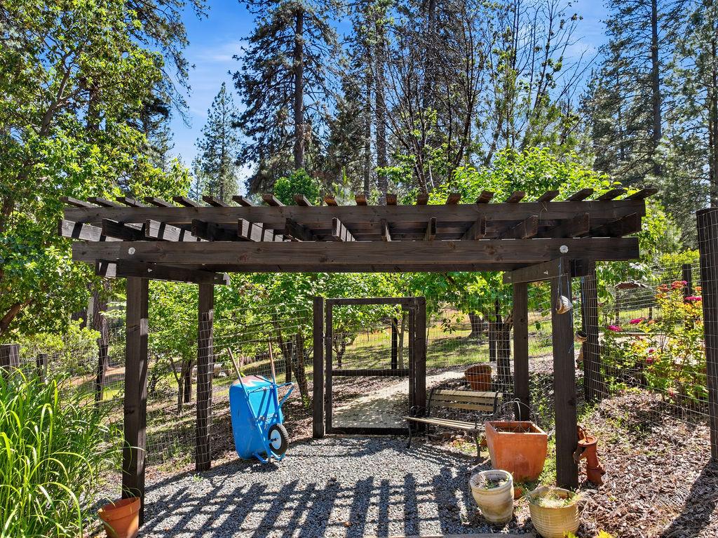 1927 Hidden Ridge Way Colfax, CA 95713 - Photo 9 of 60