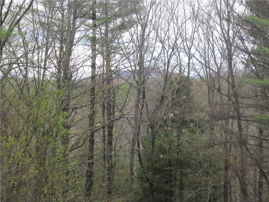 383 Garland Road West Newfield, ME 04095 - Photo 5 of 29 Photo