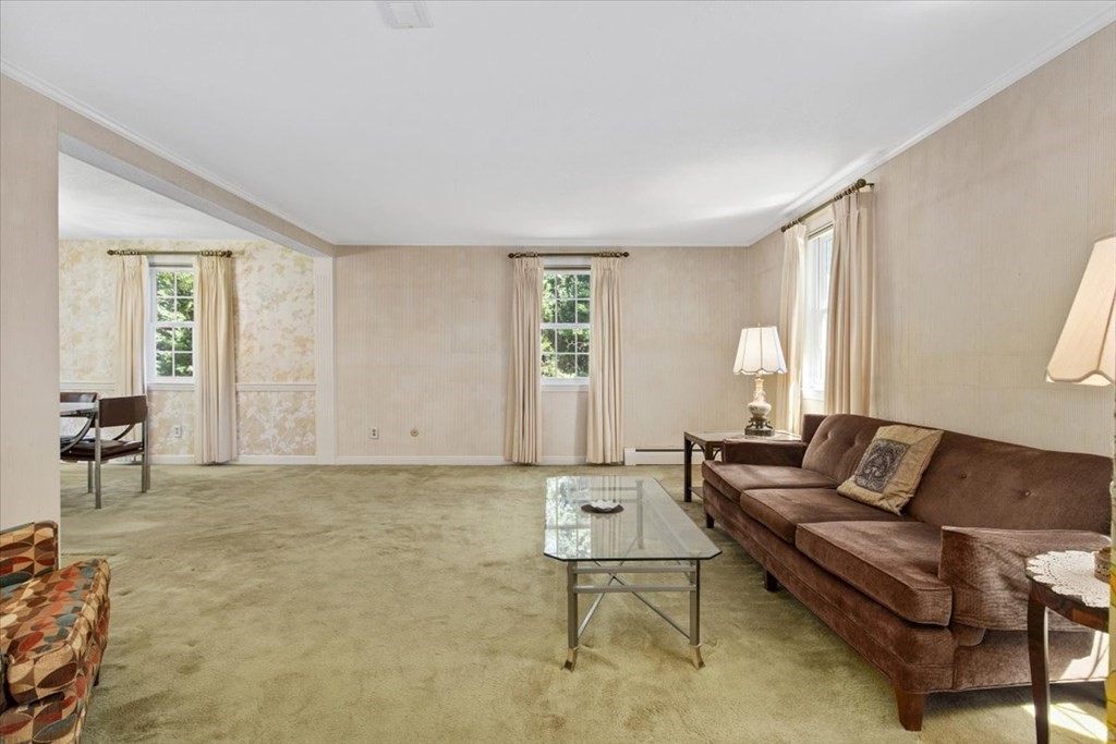 44 Ellis Street Medway, MA 02053 - Photo 4 of 42 a living room with furniture and a potted plant
