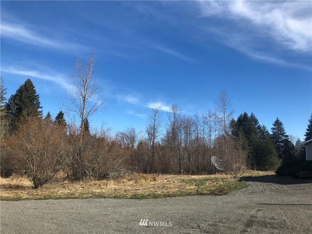 14344 Solberg Road Southeast Yelm, WA 98597 - Photo 15 of 21 Gallery Image 15