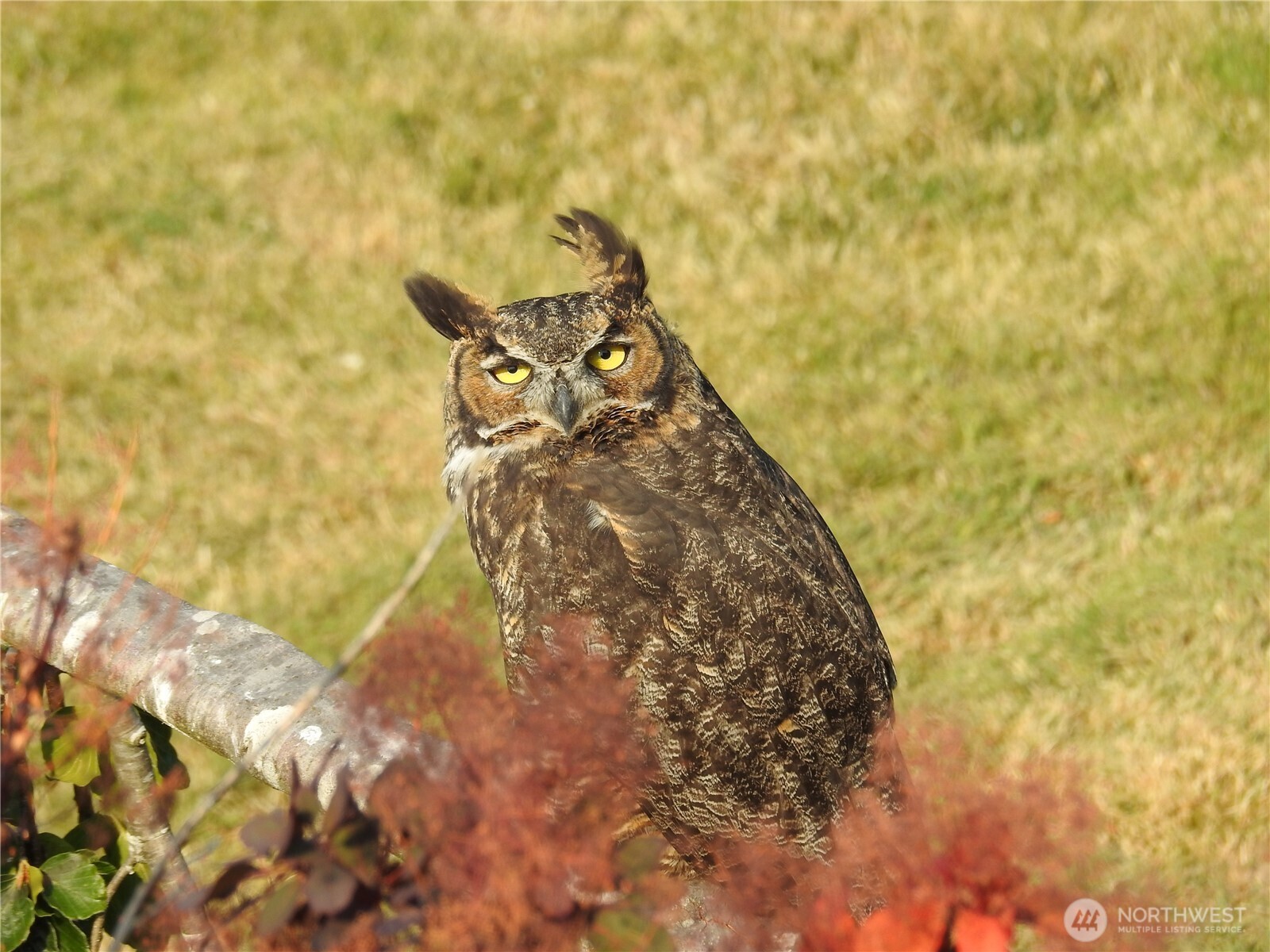 4002 Oakes Avenue Anacortes, WA 98221 - Photo 30 of 38 a bathroom with a sink