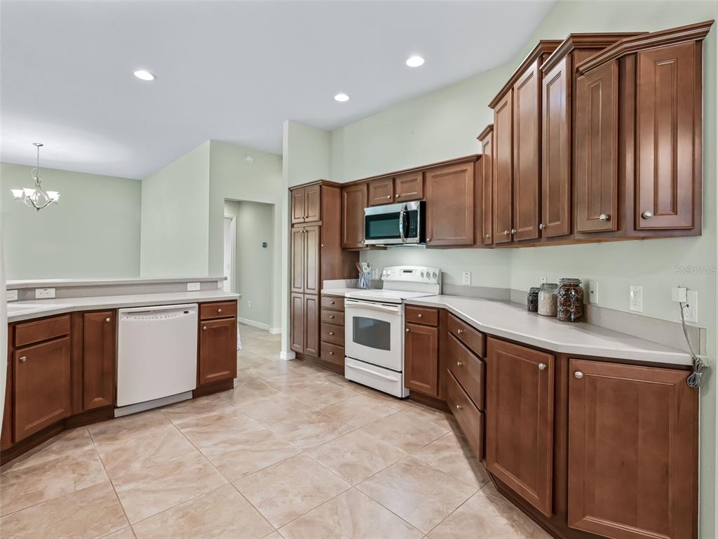 2215 Triggerfish Run The Villages, FL 32162 - Photo 7 of 39