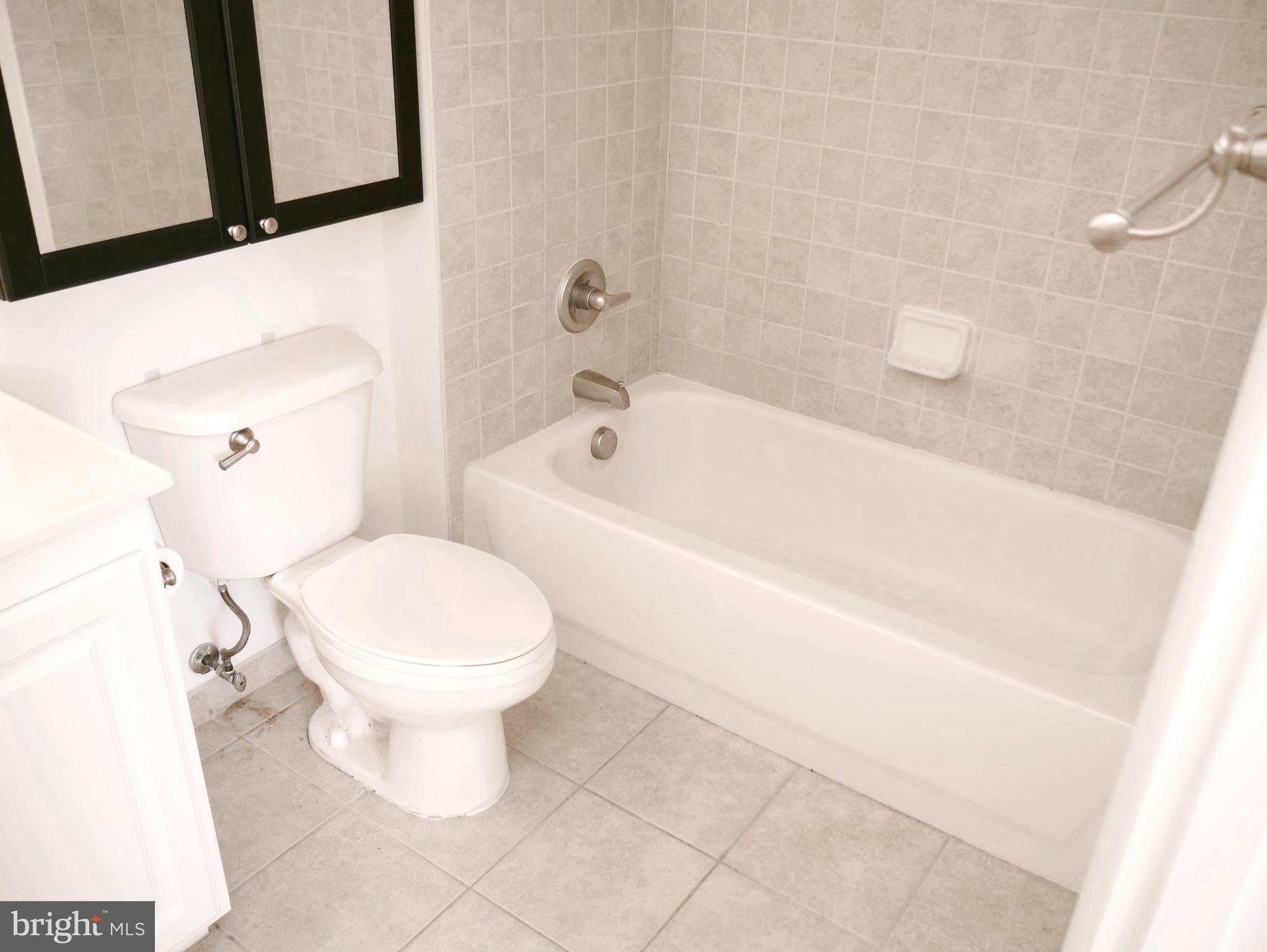 350 G Street Southwest, Unit N501 Washington, DC 20024 - Photo 42 of 49 a bathroom with a toilet and a bathtub
