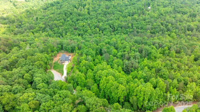 a view of a lush green forest