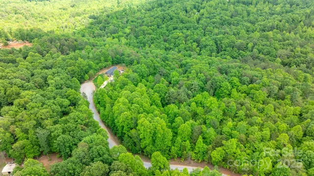 a view of a lush green forest with lots of trees