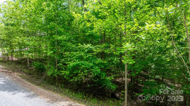 a view of a pathway with a yard