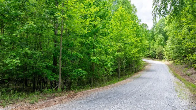 a view of a road with a yard