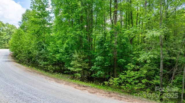 a view of a dirt road with trees in the background