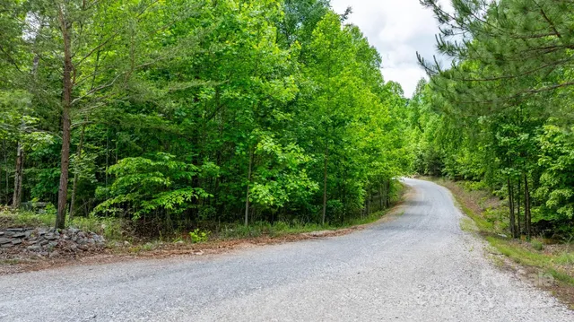 $20,000 | Tbd Darrow Drive, Unit 95, Nebo, NC 28761