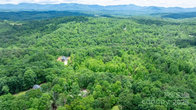 a view of a lush green field