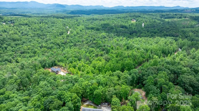 a view of a lush green forest with lots of trees