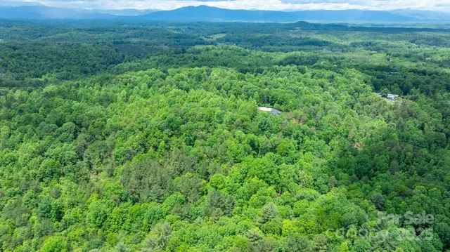 a view of a lush green hillside and a houses
