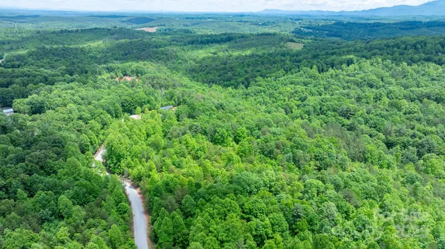 a view of a lush green outdoor space with lots of bushes