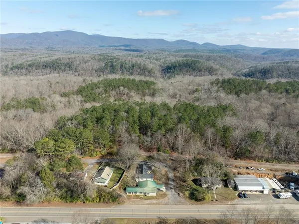 a view of a forest with trees in the background