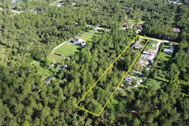 a view of a yard with plants