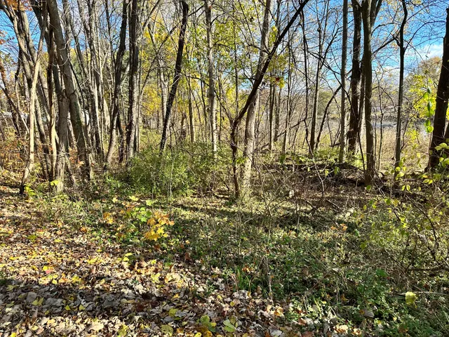 $75,000 | 0 North Hudson Boulevard, New Carlisle, IN 46552