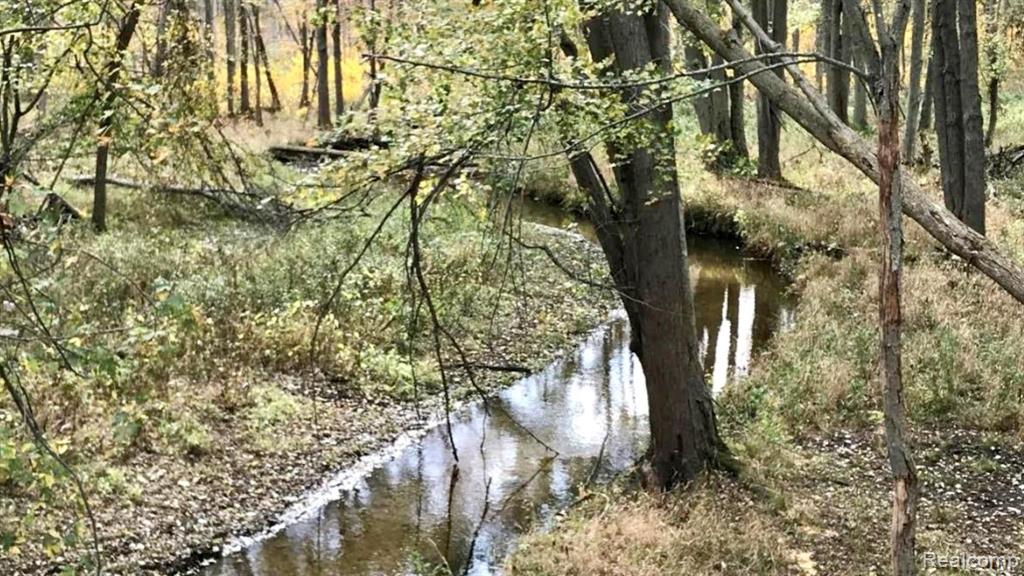 V/l Martus Road North Branch, MI 48461 - Photo 3 of 12 Gallery Image 3