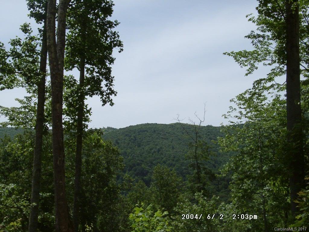 14 Happy Hollow Road, Unit 14 Clyde, NC 28721 - Photo 1 of 5 a view of a lush green forest with lots of trees