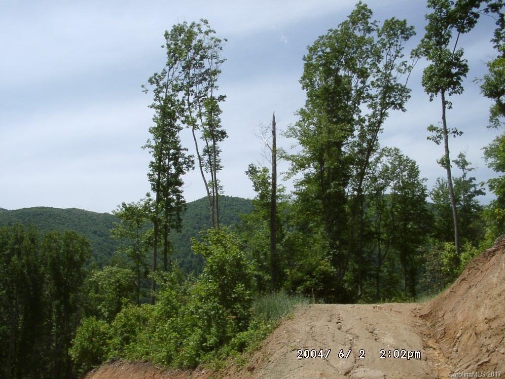 14 Happy Hollow Road, Unit 14 Clyde, NC 28721 - Photo 2 of 5 a view of a forest with trees in front of house
