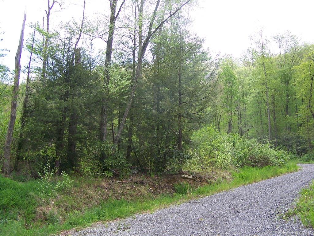 14 Happy Hollow Road, Unit 14 Clyde, NC 28721 - Photo 3 of 5 a view of a forest with trees in the background