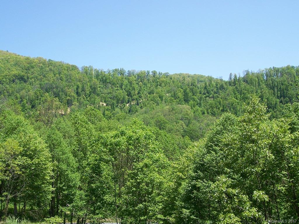 14 Happy Hollow Road, Unit 14 Clyde, NC 28721 - Photo 4 of 5 a view of a big yard with plants and large trees