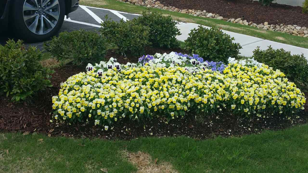 117 Mill Chapel Road Chapel Hill, NC 27517 - Photo 10 of 17 Neighborhood Landscaping