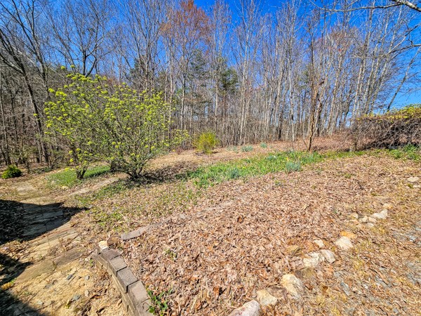 6073 Mt Pisgah Road Ellijay, GA 30540 - Photo 3 of 6