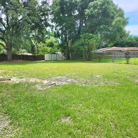 a view of a trees with a yard
