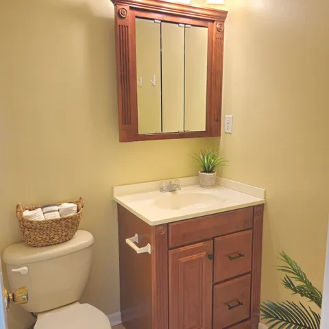 a bathroom with a sink and a toilet