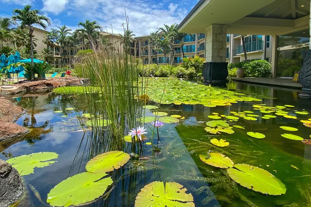 $1,598,000 | 4-820 Kuhio Highway, Unit B302, Kapaa, HI 96746